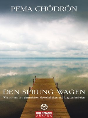 cover image of Den Sprung wagen